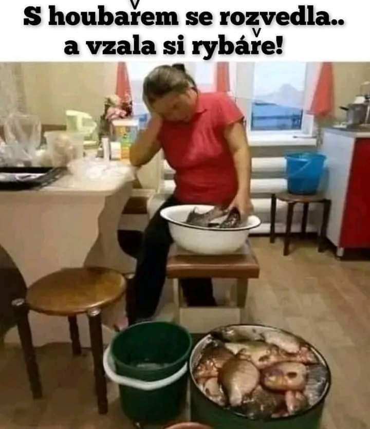 kliknutím fotku zvětšíte