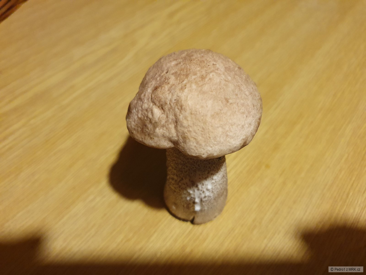 kliknutím fotku zvětšíte