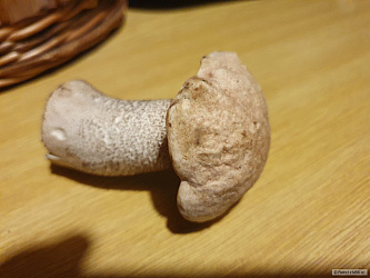 kliknutím fotku zvětšíte