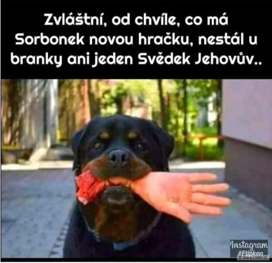 kliknutím fotku zvětšíte