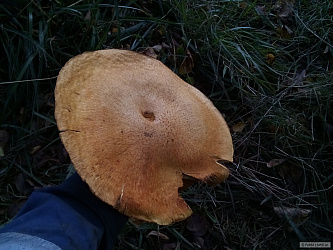 kliknutím fotku zvětšíte