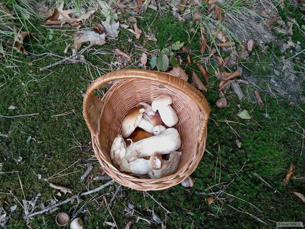 kliknutím fotku zvětšíte