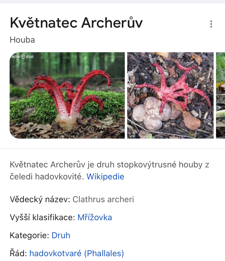 kliknutím fotku zvětšíte