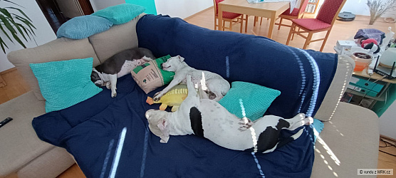 kliknutím fotku zvětšíte