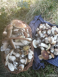 kliknutím fotku zvětšíte