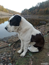 kliknutím fotku zvětšíte