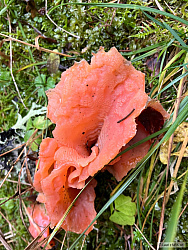 kliknutím fotku zvětšíte