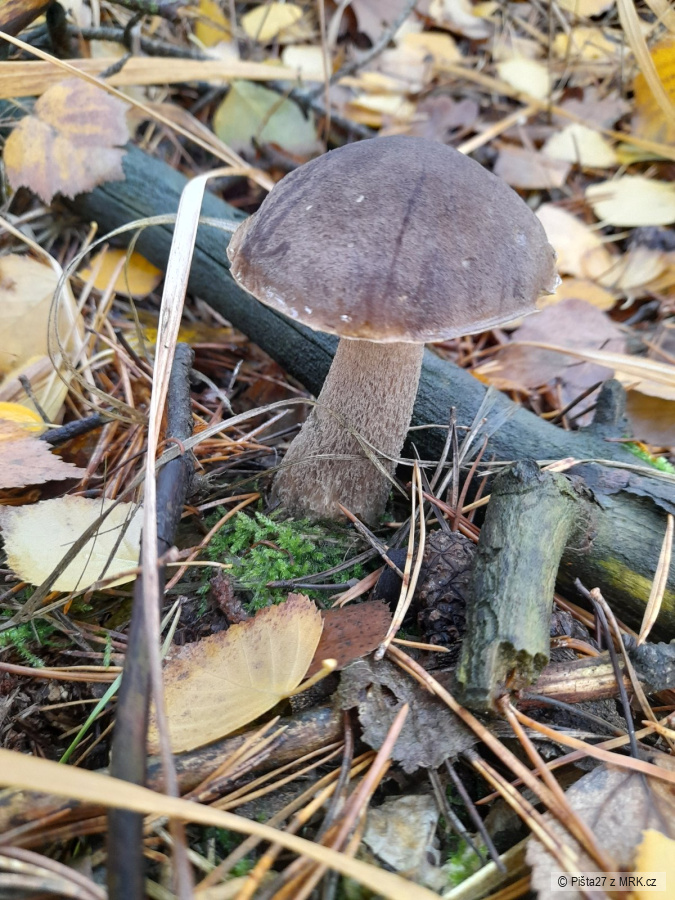 kliknutím fotku zvětšíte