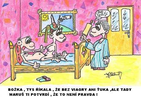 kliknutím fotku zvětšíte