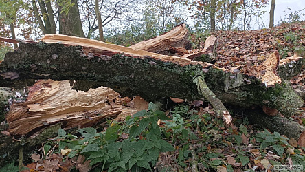 kliknutím fotku zvětšíte