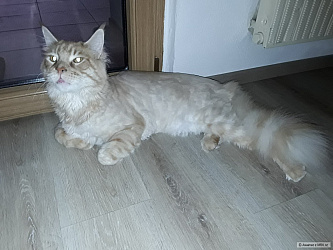 kliknutím fotku zvětšíte