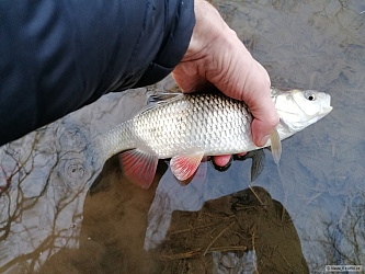 kliknutím fotku zvětšíte