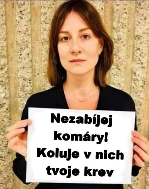kliknutím fotku zvětšíte