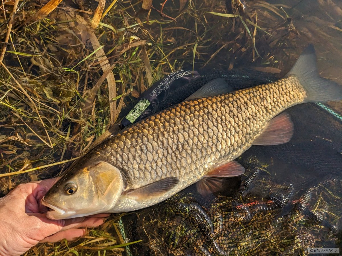 kliknutím fotku zvětšíte