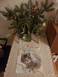 kliknutím fotku zvětšíte