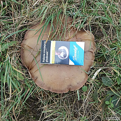 kliknutím fotku zvětšíte