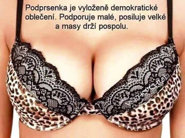 kliknutím fotku zvětšíte