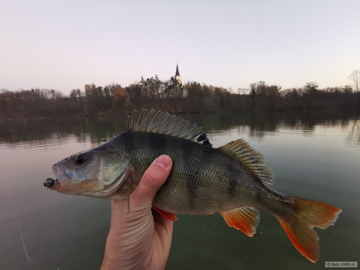 kliknutím fotku zvětšíte