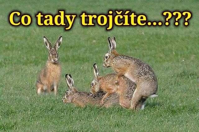 kliknutím fotku zvětšíte
