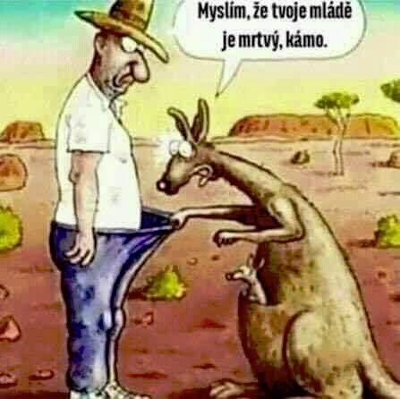 kliknutím fotku zvětšíte