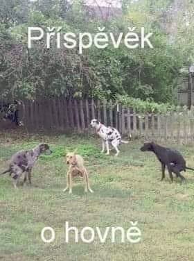 kliknutím fotku zvětšíte