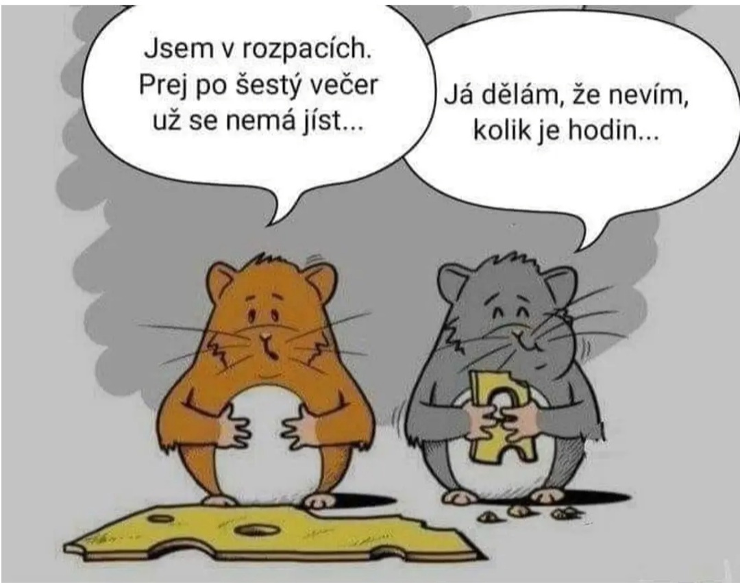 kliknutím fotku zvětšíte