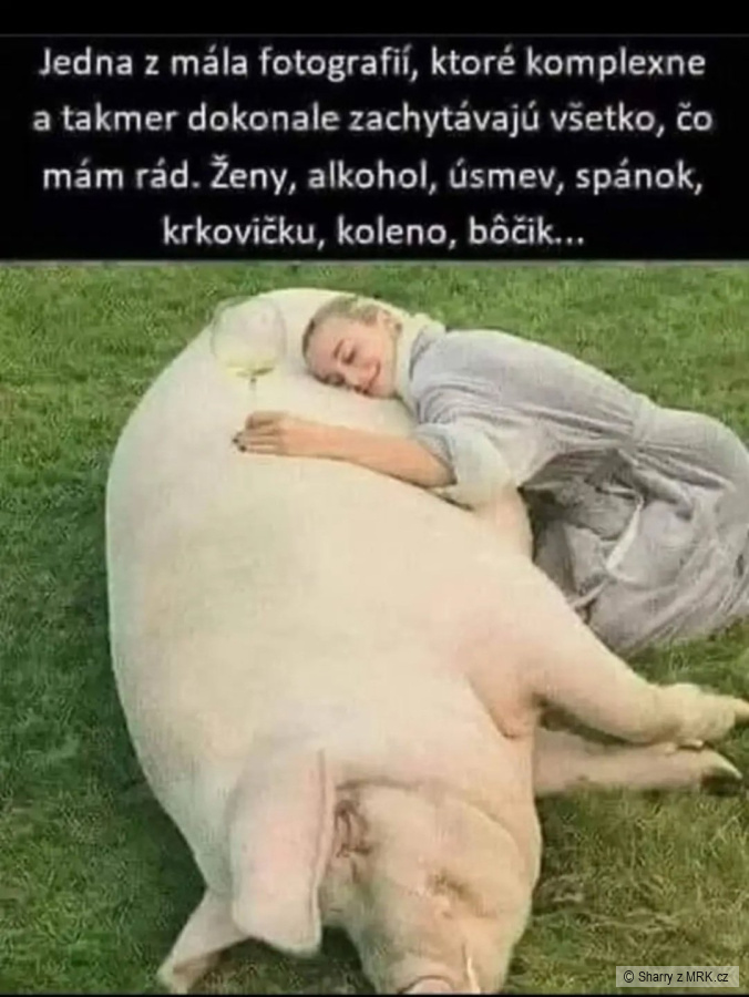 kliknutím fotku zvětšíte