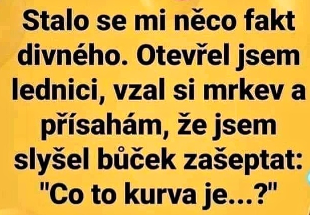 kliknutím fotku zvětšíte