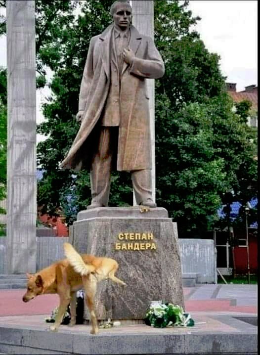 kliknutím fotku zvětšíte