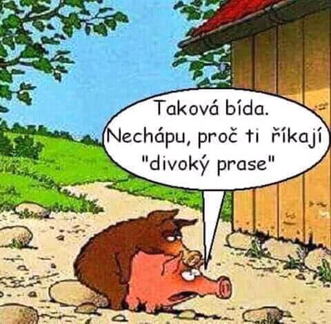 kliknutím fotku zvětšíte