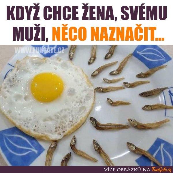 kliknutím fotku zvětšíte