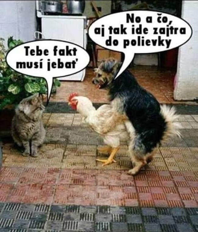 kliknutím fotku zvětšíte