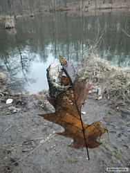 kliknutím fotku zvětšíte