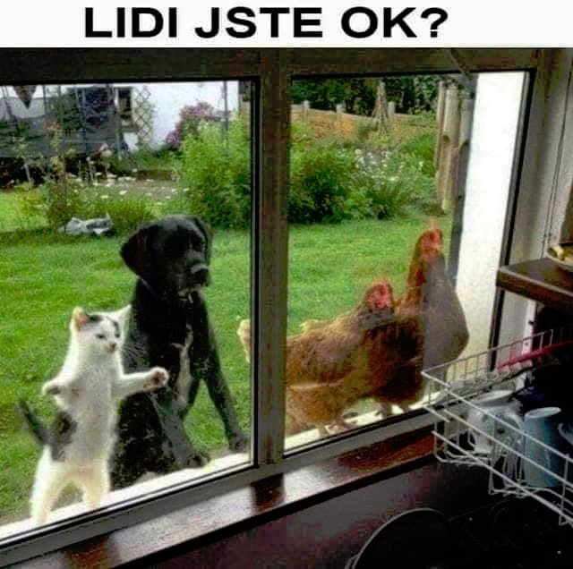 kliknutím fotku zvětšíte