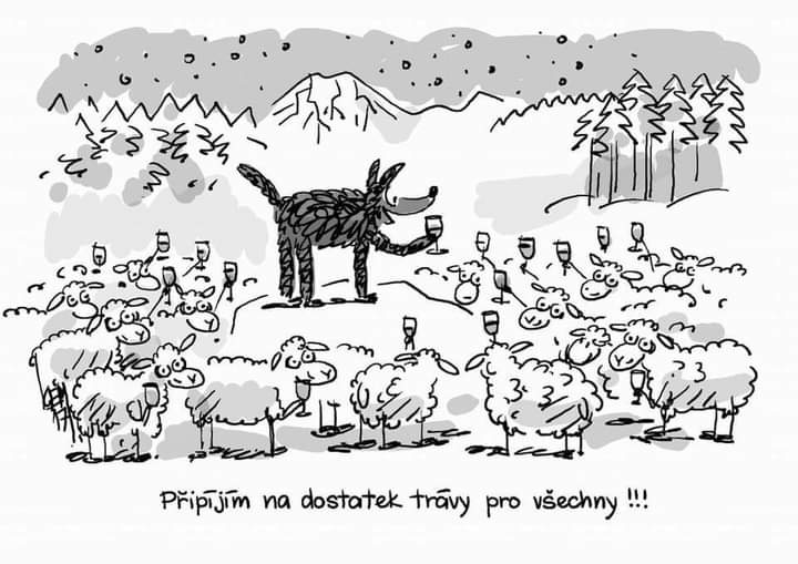 kliknutím fotku zvětšíte