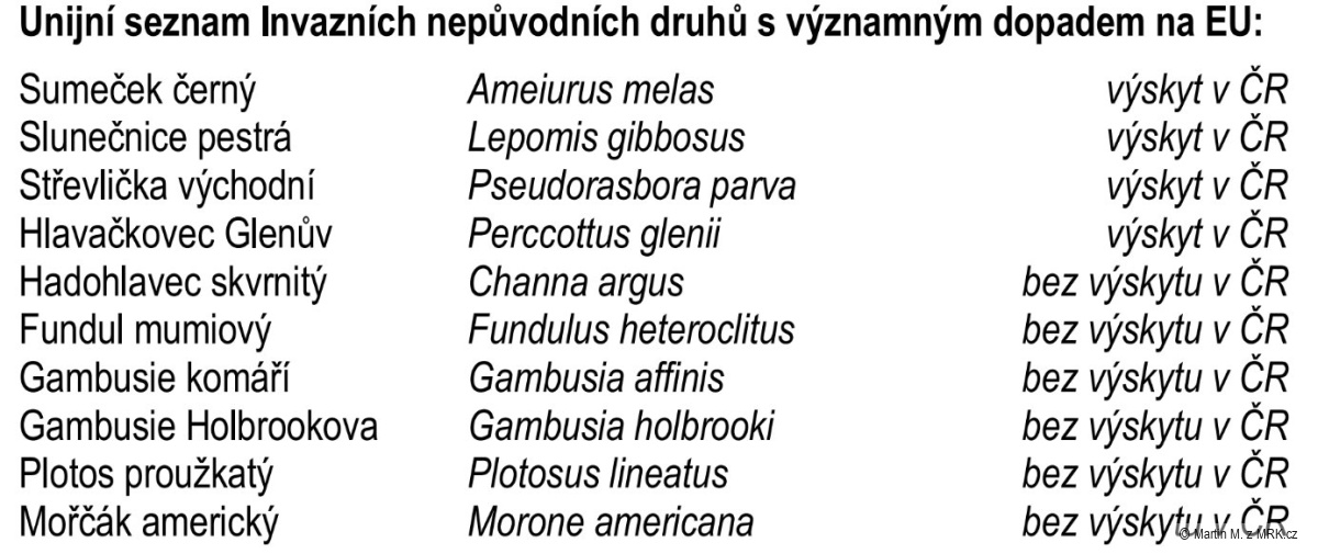 kliknutím fotku zvětšíte
