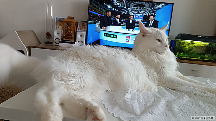 kliknutím fotku zvětšíte