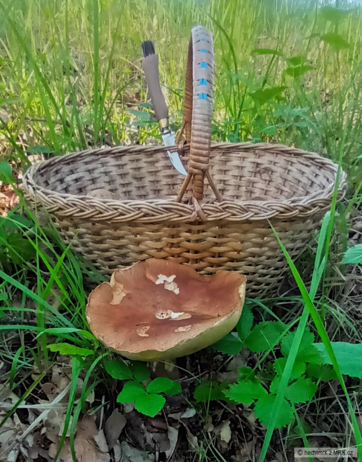 kliknutím fotku zvětšíte