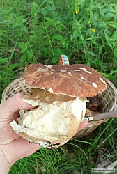 kliknutím fotku zvětšíte