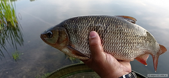 kliknutím fotku zvětšíte