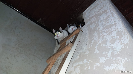 kliknutím fotku zvětšíte
