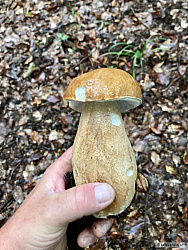 kliknutím fotku zvětšíte