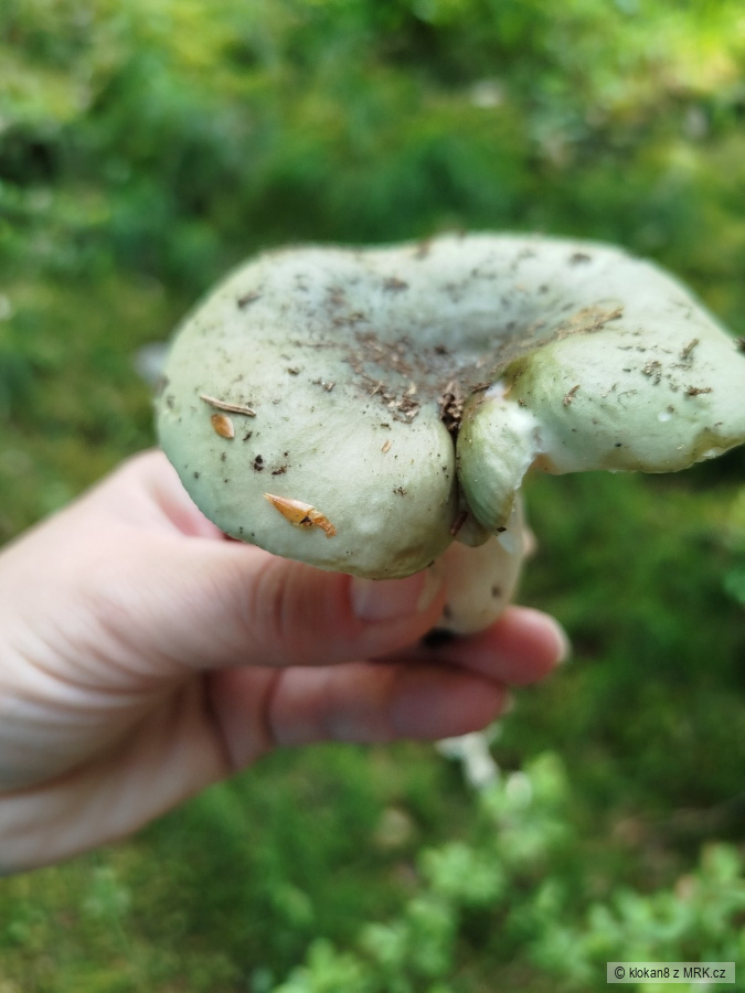 kliknutím fotku zvětšíte