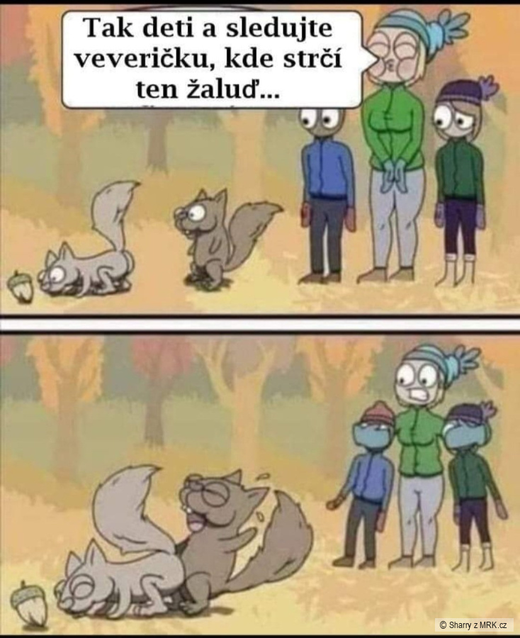 kliknutím fotku zvětšíte