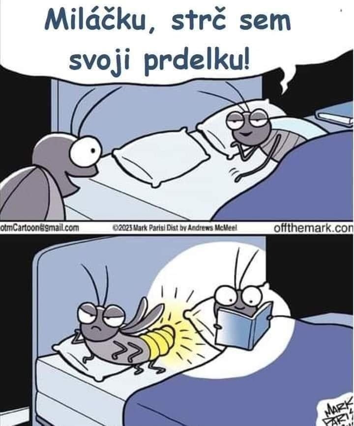 kliknutím fotku zvětšíte