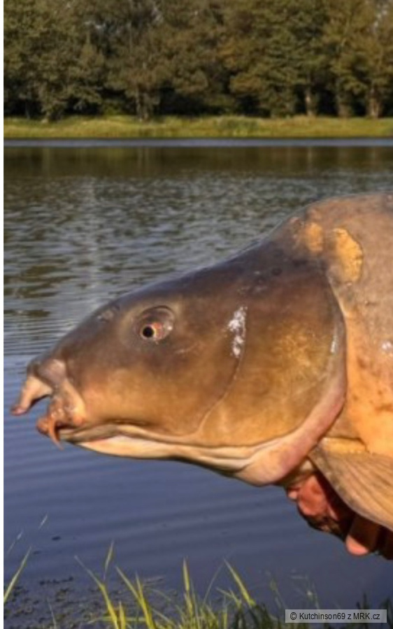 kliknutím fotku zvětšíte
