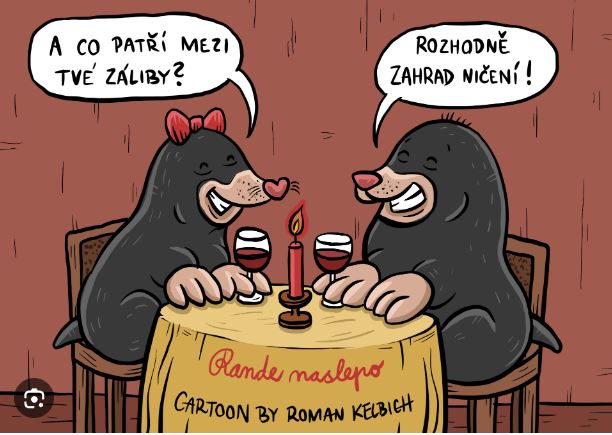 kliknutím fotku zvětšíte