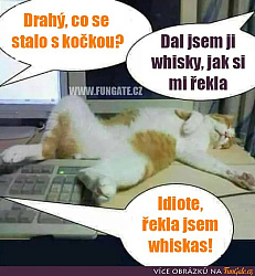 kliknutím fotku zvětšíte