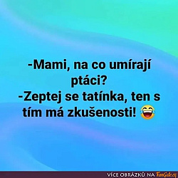 kliknutím fotku zvětšíte