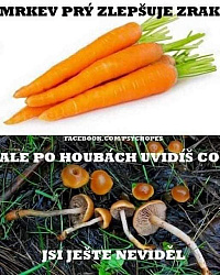 kliknutím fotku zvětšíte